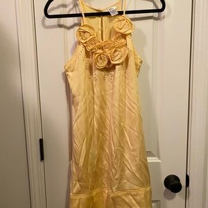 Silk Boutique Dress